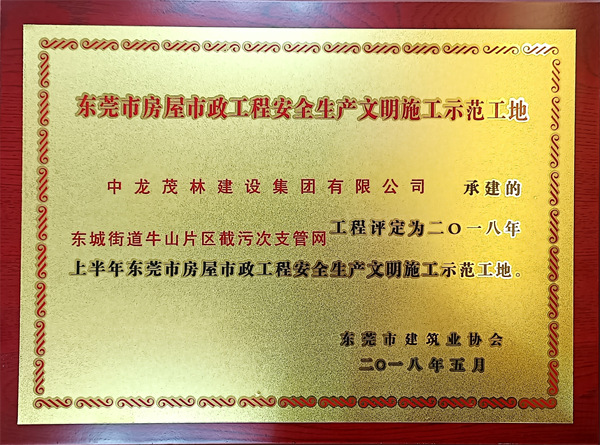 东城街道牛山片区截污次支管网工程评定为2